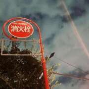 ヒメ日記 2025/12/11 05:57 投稿 楓 渋谷人妻城