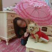 ヒメ日記 2025/05/10 19:13 投稿 春山 渋谷人妻城