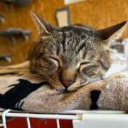 ヒメ日記 2025/03/18 17:02 投稿 絵夢 渋谷人妻城