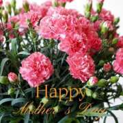 ヒメ日記 2025/05/11 12:20 投稿 絵夢 渋谷人妻城