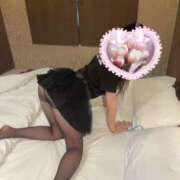 本田 おはようございます 渋谷人妻城