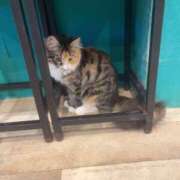 ヒメ日記 2026/01/28 09:50 投稿 本田 渋谷人妻城