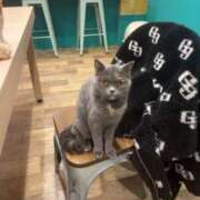 ヒメ日記 2026/02/04 09:17 投稿 本田 渋谷人妻城