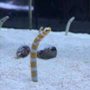 ヒメ日記 2026/03/02 09:09 投稿 本田 渋谷人妻城