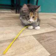 ヒメ日記 2026/03/18 10:06 投稿 本田 渋谷人妻城