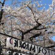 ヒメ日記 2026/04/08 09:43 投稿 本田 渋谷人妻城