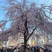 ヒメ日記 2026/04/10 08:58 投稿 本田 渋谷人妻城