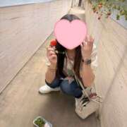 ヒメ日記 2026/04/13 14:45 投稿 本田 渋谷人妻城