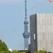 ヒメ日記 2026/04/17 09:13 投稿 本田 渋谷人妻城