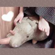 ヒメ日記 2025/02/07 11:35 投稿 奥野 渋谷人妻城