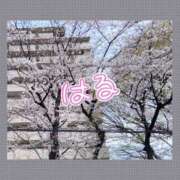 ヒメ日記 2025/03/30 10:41 投稿 奥野 渋谷人妻城