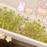 ヒメ日記 2025/11/03 09:46 投稿 奥野 渋谷人妻城