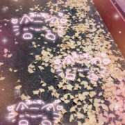 ヒメ日記 2025/12/04 08:22 投稿 奥野 渋谷人妻城