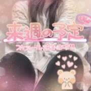 ヒメ日記 2026/02/07 18:11 投稿 奥野 渋谷人妻城