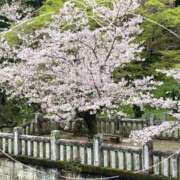 ヒメ日記 2026/04/01 18:52 投稿 奥野 渋谷人妻城