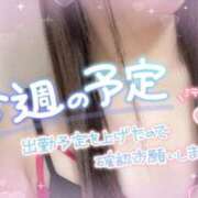 ヒメ日記 2026/04/14 18:28 投稿 奥野 渋谷人妻城