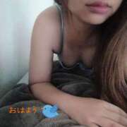 ヒメ日記 2025/04/16 09:52 投稿 美内 渋谷人妻城