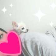 ヒメ日記 2025/09/11 12:15 投稿 美内 渋谷人妻城