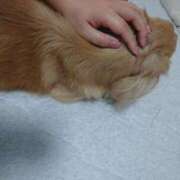 ヒメ日記 2025/09/20 19:33 投稿 美内 渋谷人妻城