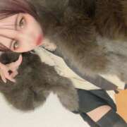 ヒメ日記 2025/12/12 09:27 投稿 東 渋谷人妻城