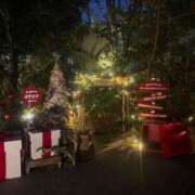 ヒメ日記 2025/12/28 21:23 投稿 東 渋谷人妻城