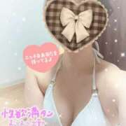 ヒメ日記 2026/03/14 12:00 投稿 秋月 渋谷人妻城