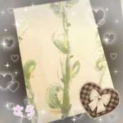 ヒメ日記 2025/03/13 22:20 投稿 さら 錦糸町人妻セレブリティ（ユメオト）