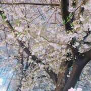 ヒメ日記 2025/04/01 19:44 投稿 さら 錦糸町人妻セレブリティ（ユメオト）