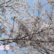 ヒメ日記 2025/04/14 12:24 投稿 さら 錦糸町人妻セレブリティ（ユメオト）