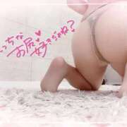 ヒメ日記 2026/03/07 22:24 投稿 めい ごほうびSPA神戸店