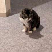 ヒメ日記 2026/07/06 21:46 投稿 しのぶ 長野権堂更埴ちゃんこ