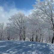 ヒメ日記 2025/03/19 08:44 投稿 富永あさみ 日暮里ド淫乱倶楽部