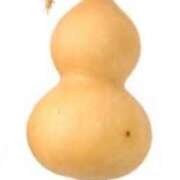 ヒメ日記 2025/03/13 15:01 投稿 ゆりこ 俺のヤバい妻。(谷九)