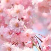 ヒメ日記 2025/04/06 11:42 投稿 ゆりこ 俺のヤバい妻。(谷九)