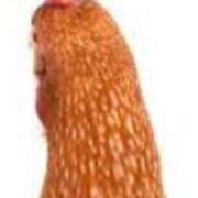 ヒメ日記 2025/05/15 17:03 投稿 ゆりこ 俺のヤバい妻。(谷九)