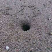 ヒメ日記 2025/05/27 11:12 投稿 ゆりこ 俺のヤバい妻。(谷九)