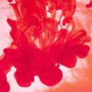 ヒメ日記 2025/07/15 17:10 投稿 ゆりこ 俺のヤバい妻。(谷九)