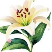 ヒメ日記 2025/08/03 11:32 投稿 ゆりこ 俺のヤバい妻。(谷九)