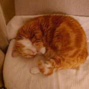 ヒメ日記 2025/08/09 11:15 投稿 ゆりこ 俺のヤバい妻。(谷九)