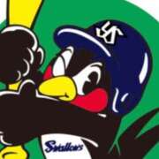 ヒメ日記 2025/10/12 10:17 投稿 ゆりこ 俺のヤバい妻。(谷九)