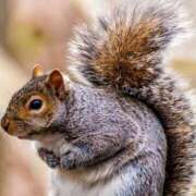 ヒメ日記 2025/10/16 16:33 投稿 ゆりこ 俺のヤバい妻。(谷九)