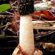 ヒメ日記 2025/11/22 09:49 投稿 ゆりこ 俺のヤバい妻。(谷九)