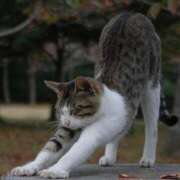 ヒメ日記 2026/03/14 11:19 投稿 ゆりこ 俺のヤバい妻。(谷九)