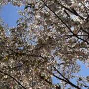 ヒメ日記 2025/04/05 20:46 投稿 遥 渋谷人妻城