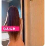 ヒメ日記 2025/12/15 16:56 投稿 桜木のあ 五十路マダムエクスプレス横浜店（カサブランカグループ）