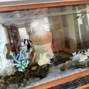 ヒメ日記 2025/03/04 17:24 投稿 土屋 熟女の風俗最終章 横浜本店