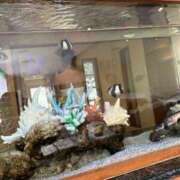 ヒメ日記 2025/04/30 17:24 投稿 土屋 熟女の風俗最終章 横浜本店