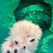 ヒメ日記 2025/05/13 13:44 投稿 土屋 熟女の風俗最終章 横浜本店