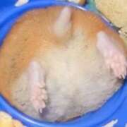 ヒメ日記 2025/06/26 00:34 投稿 土屋 熟女の風俗最終章 横浜本店