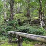 ヒメ日記 2025/07/05 09:54 投稿 土屋 熟女の風俗最終章 横浜本店